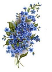 FORGET-ME-NOT 2  - DEC821