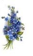 FORGET-ME-NOT 2 - DEC826