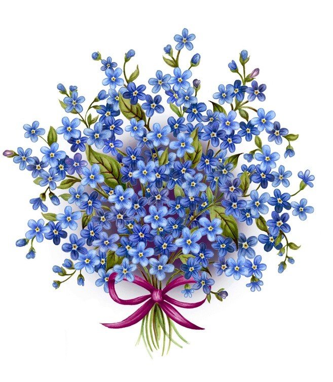 FORGET-ME-NOT 2 - DEC827