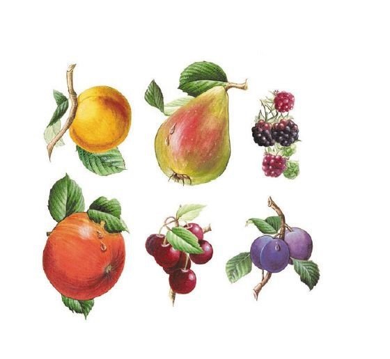 DECALQUE FRUIT BITS - DEC834