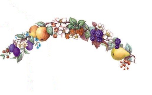 DECALQUE FRUITS - DEC843