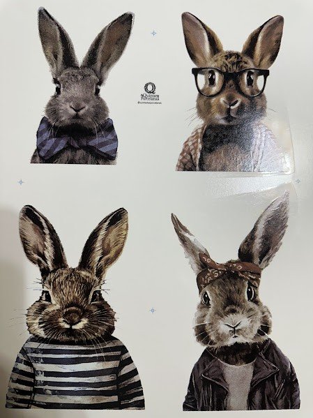 DECALQUE COELHOS - DEC854