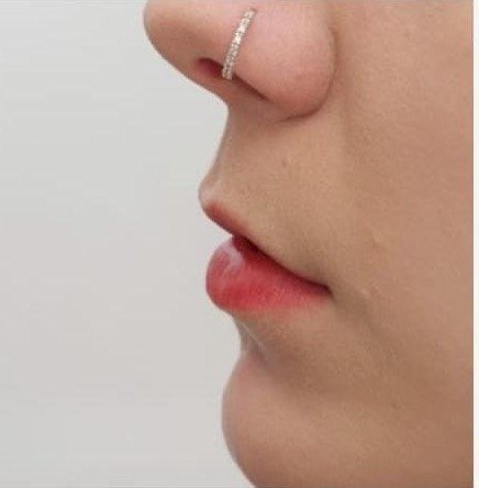 Piercing Nariz Cravejado click