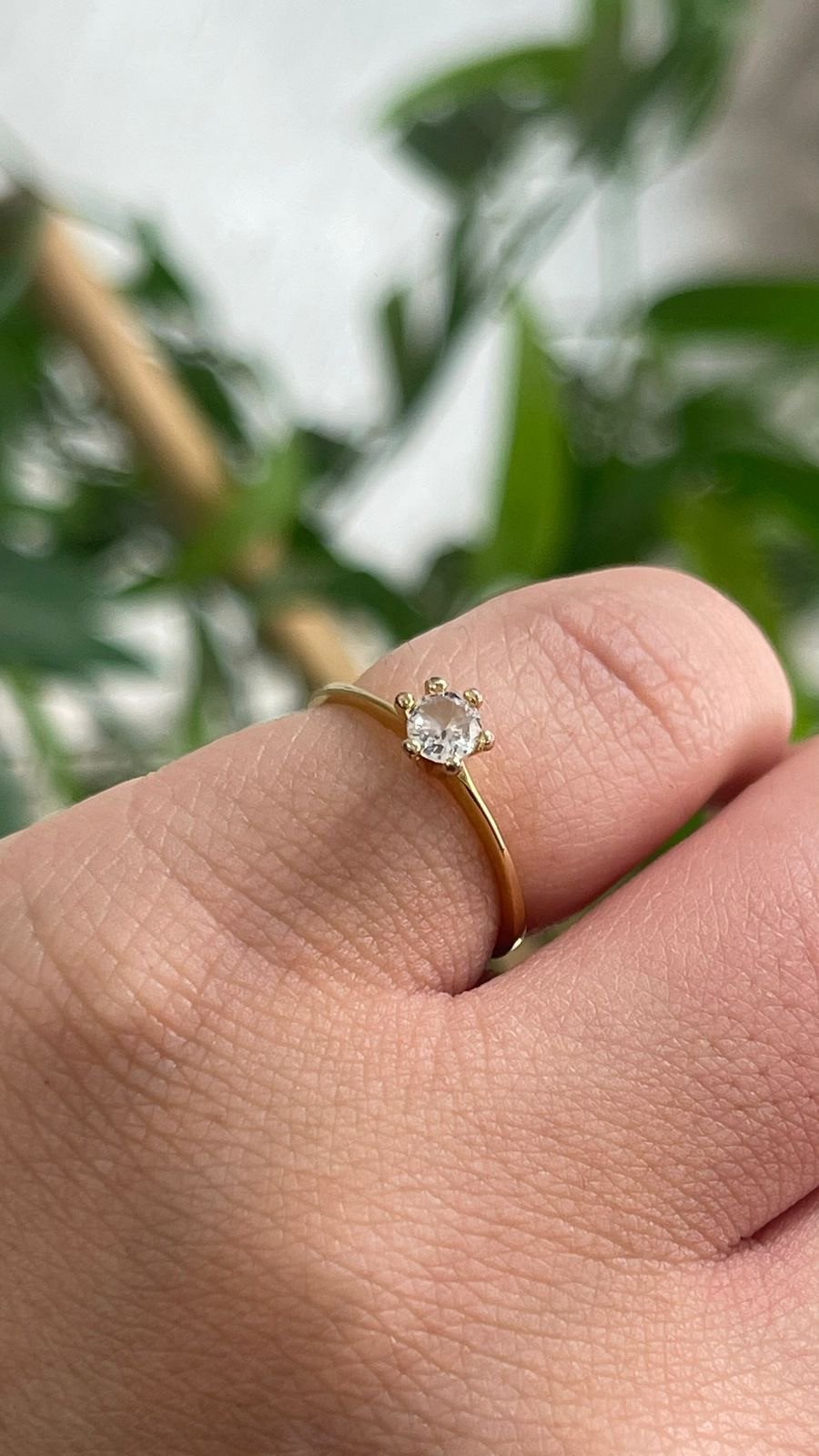 Solitário na liga de moeda com garantia 