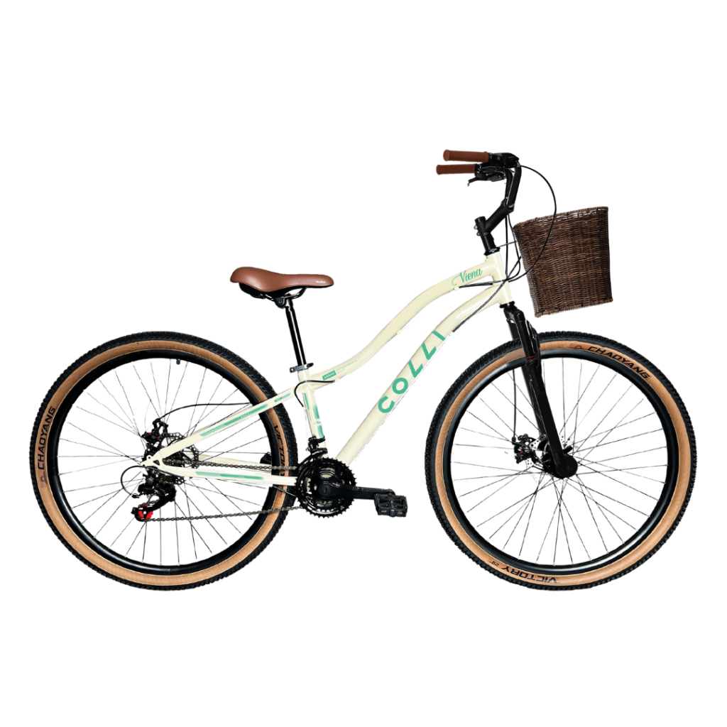 BICICLETA ARO 29 COLLI VIENA COM CESTO