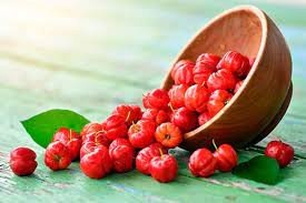 Polpa de Acerola (300g)