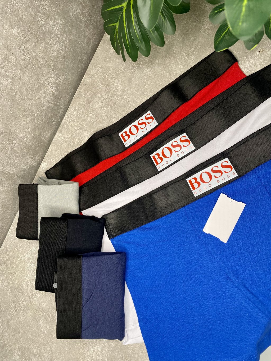 Cueca básica 