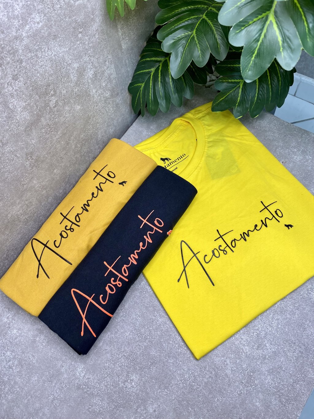 Camisas básicas 