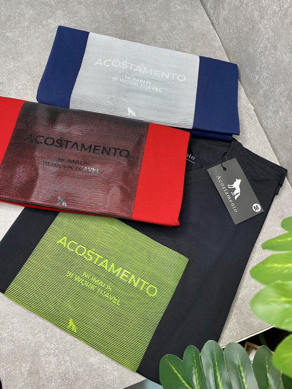Camisas básicas 