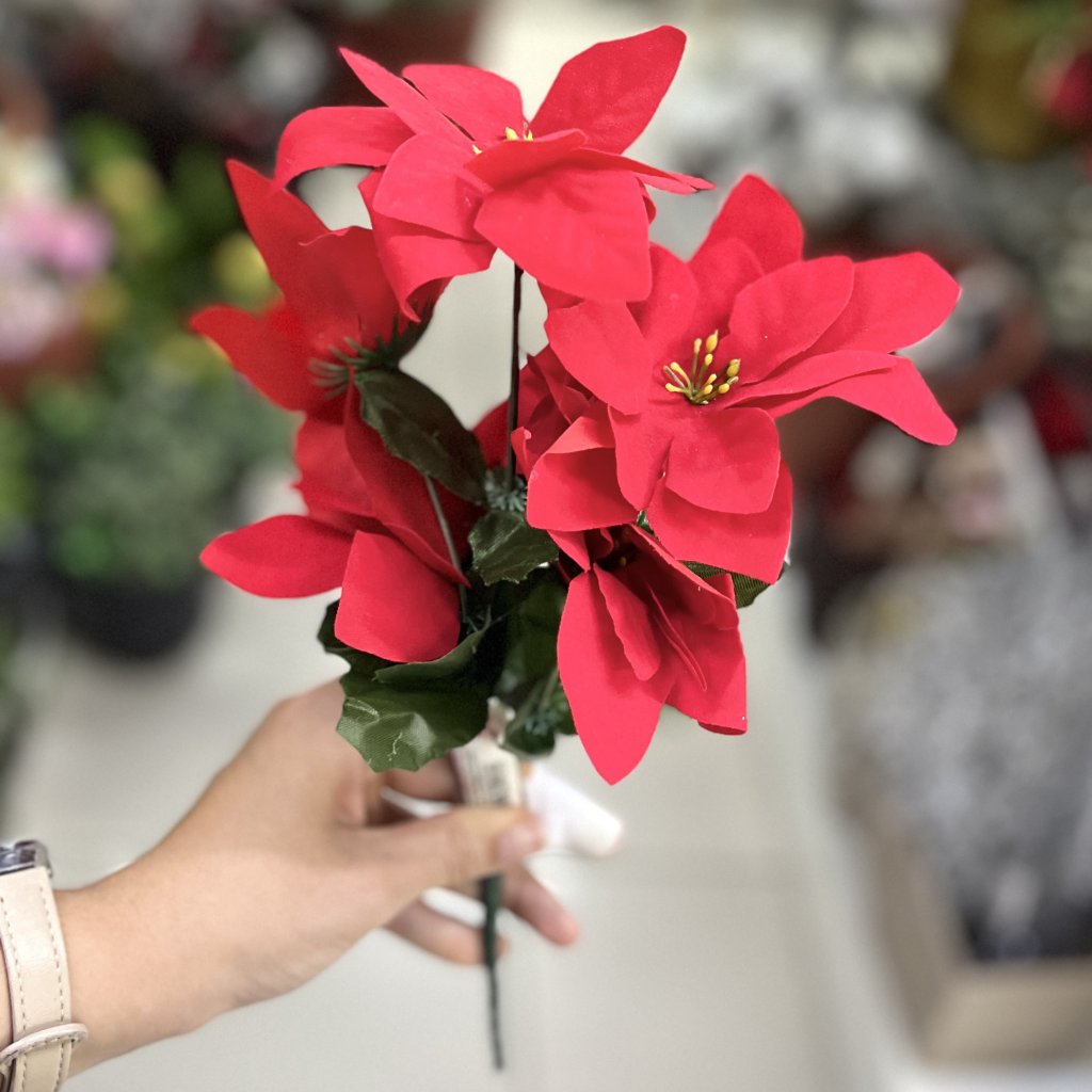 Bouquet flores vermelhas de Natal 