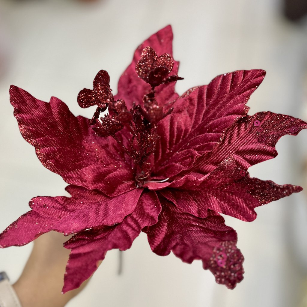 Flor de Natal vermelha 