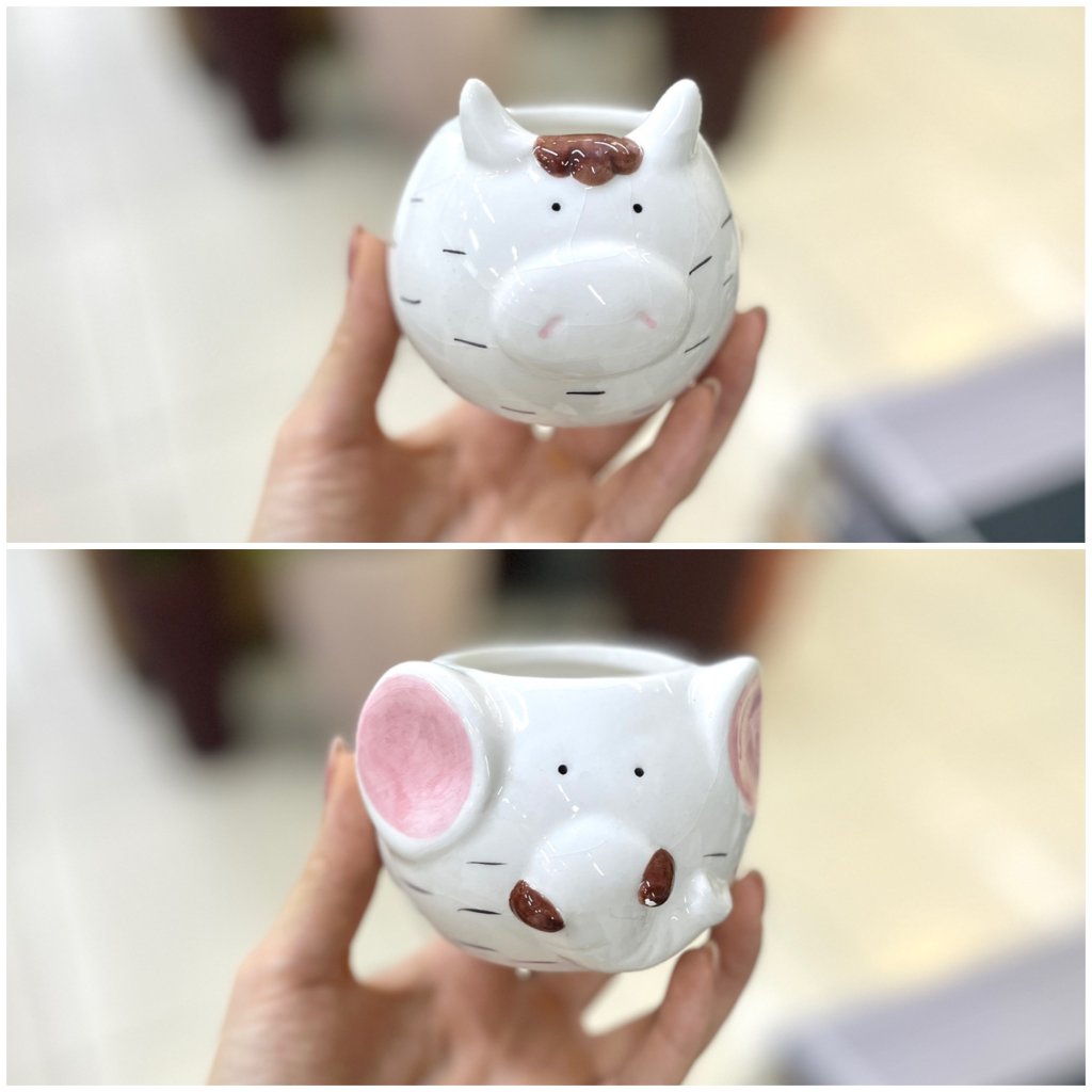 Cachepot vasinho bichinhos zoo 