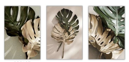 Trio tela decorativa  40CM X 60CM - Costela de Adão 