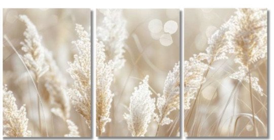 Trio tela decorativa 40CM X 60CM - Capim dos pampas 