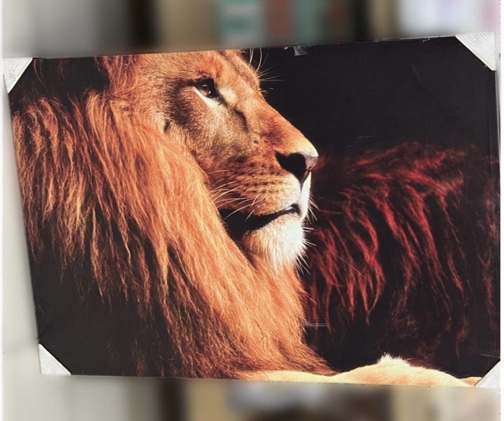 Tela decorativa 60CM X 90cm - Leão 