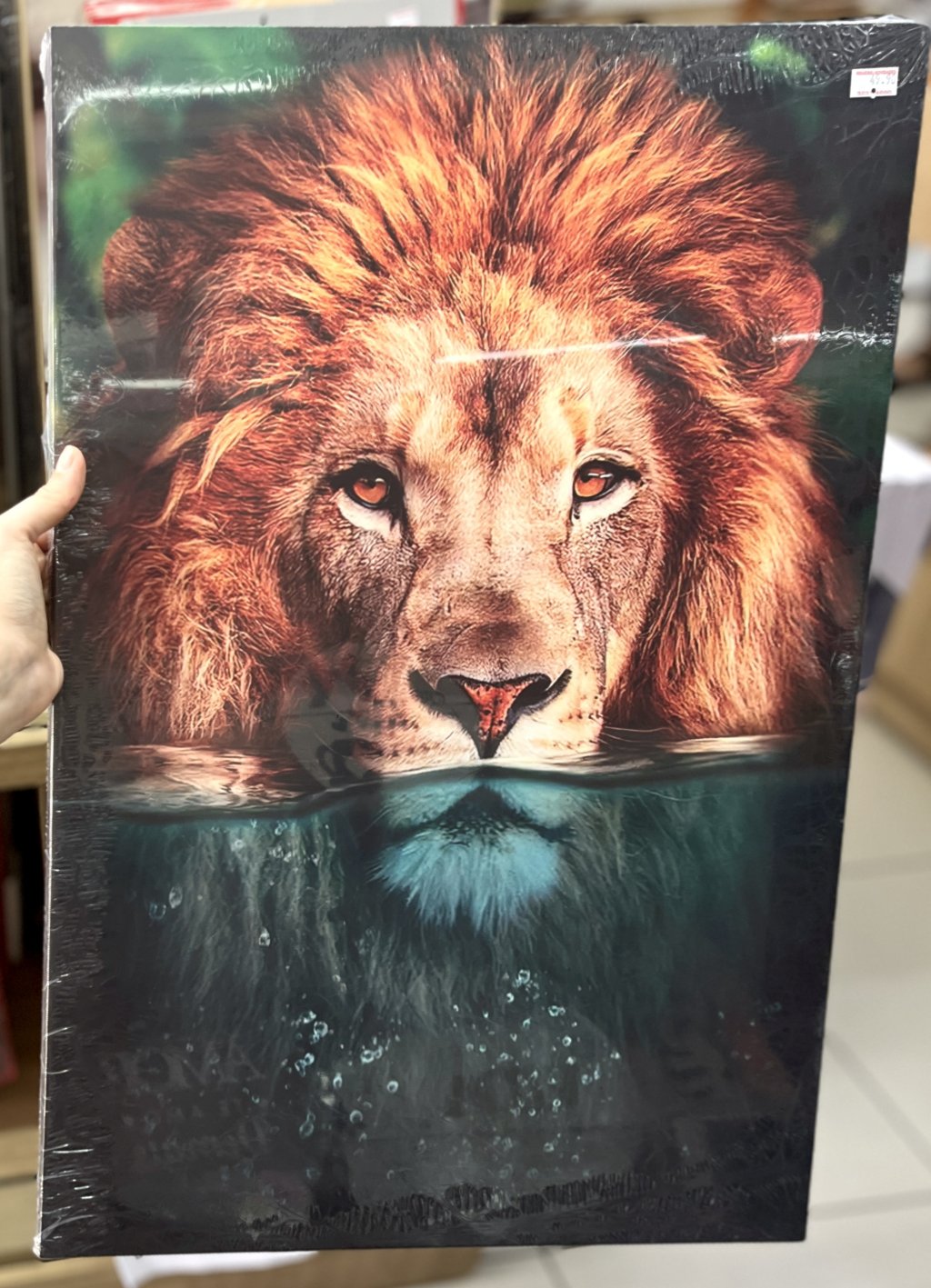 Tela decorativa 40CM X 60CM - Leão na água 