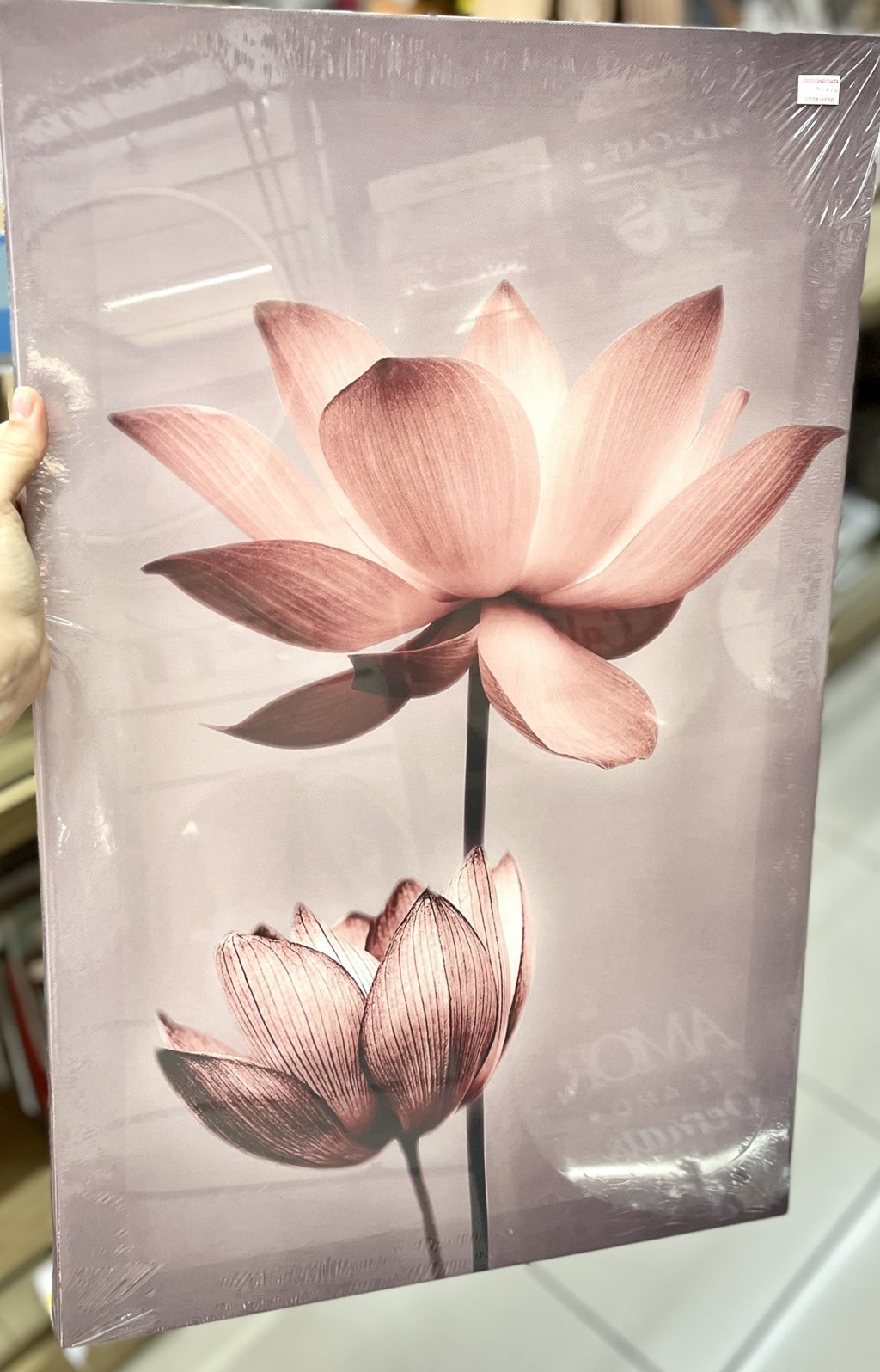 Tela decorativa 40CM X 60CM - Flor Rosa I