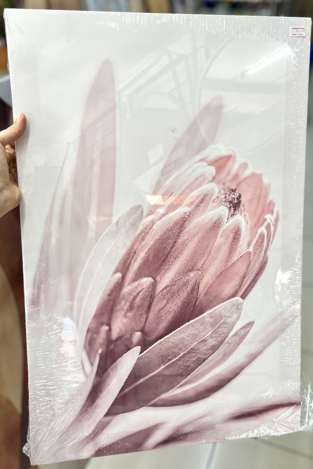 Tela decorativa 40CM X 60CM -  Protea Rosa 