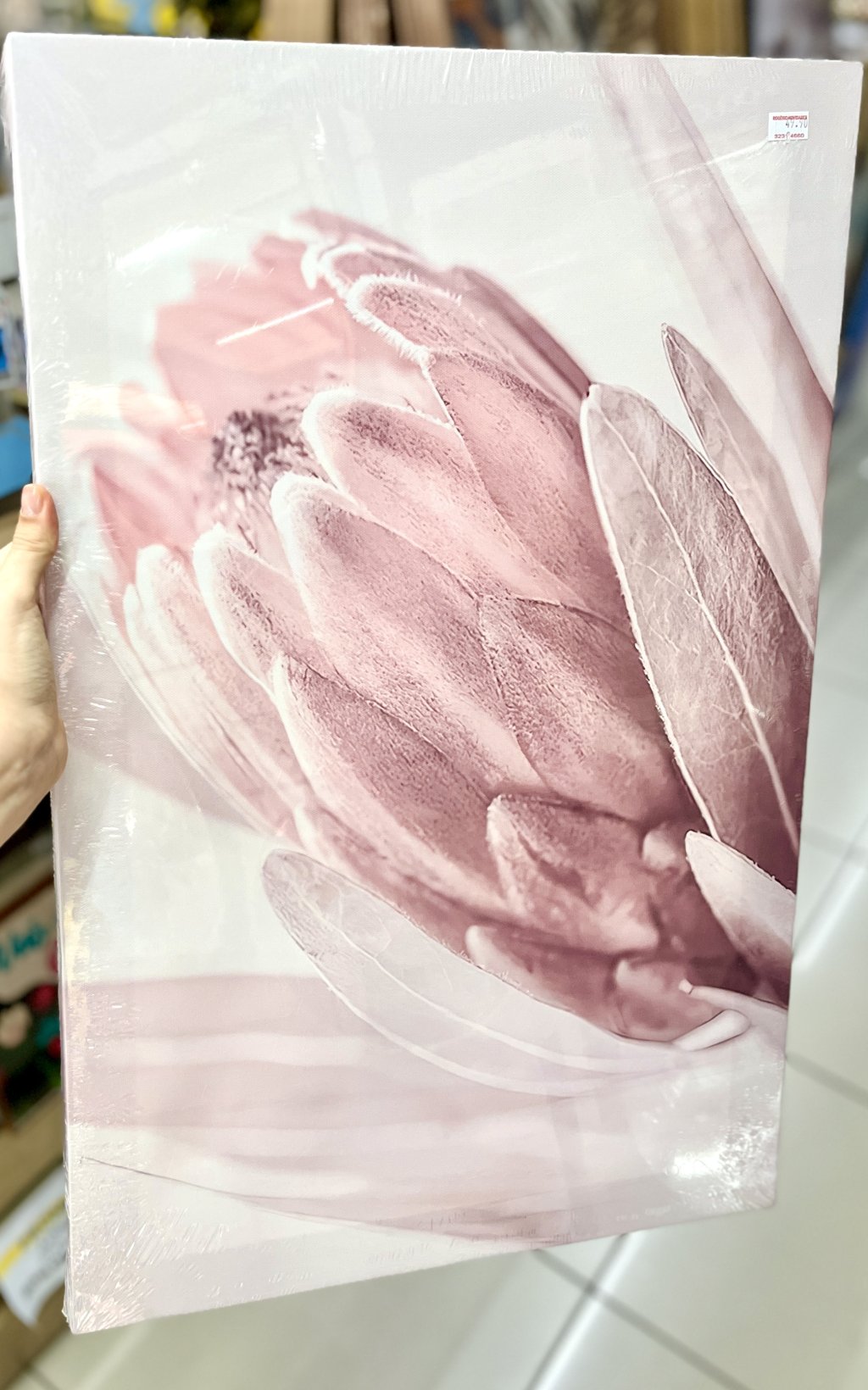 Tela decorativa 40CM X 60CM - Protea Rosa II
