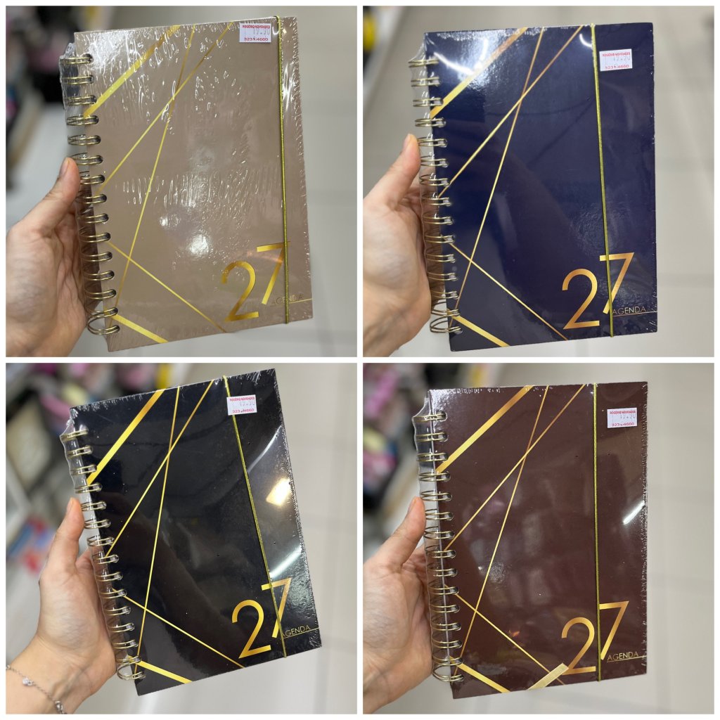 Agenda 2027 15CM X 20cm 