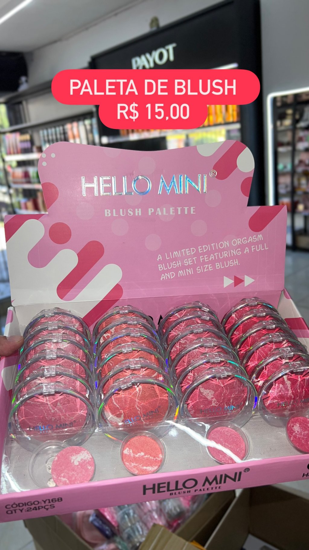 Blush palette Hello Mini