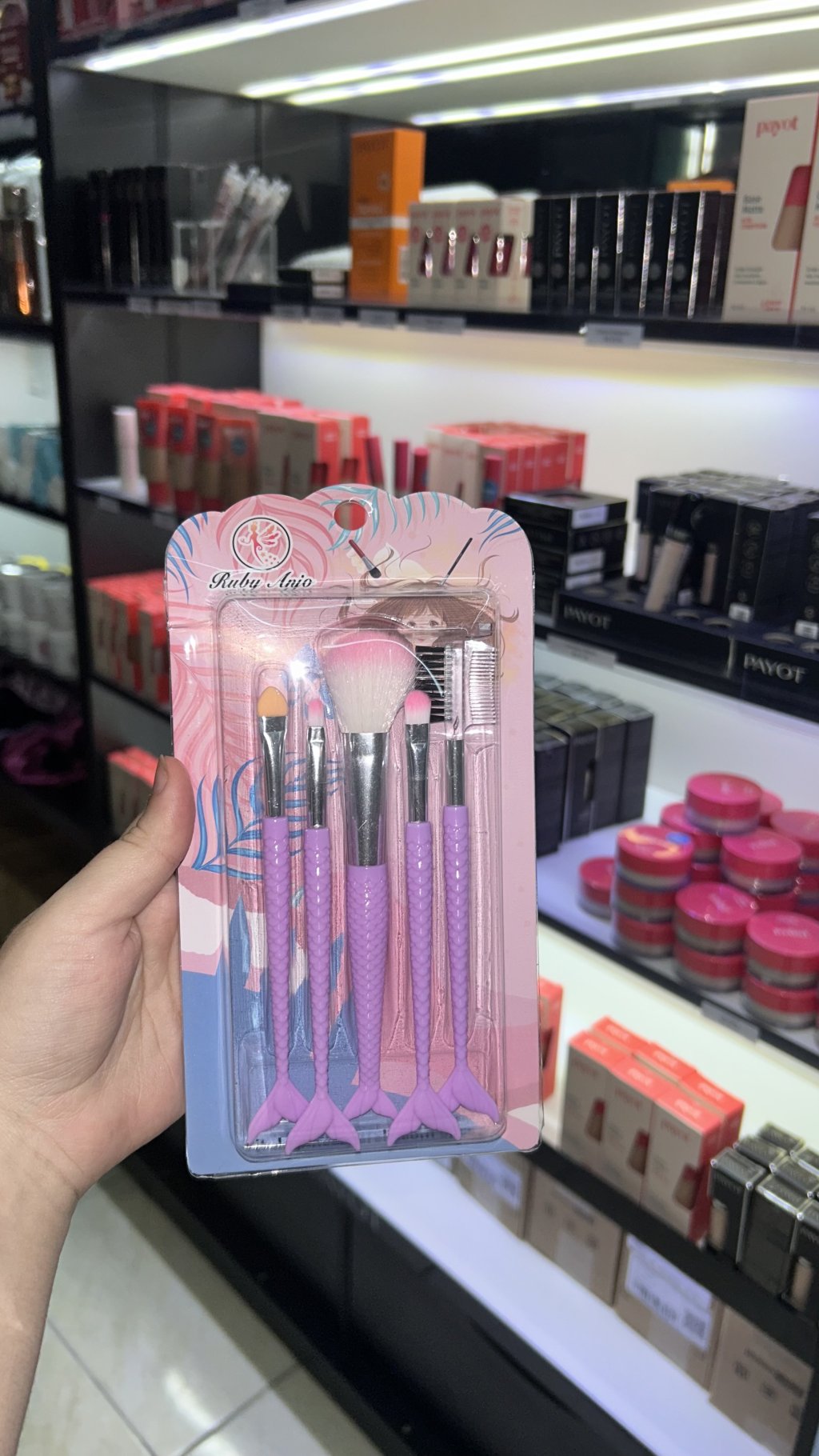 Kit de pincéis 