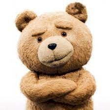 ºUrso Ted Pelúcia C/Compartimento Secreto + Prótese Tortinho
