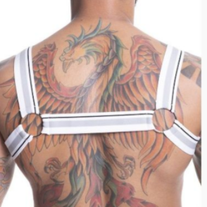 ºHARNESS EM ELASTICO BRANCO LISTRADO COM ARGOLAS METÁLICAS-COSTAS HE002B