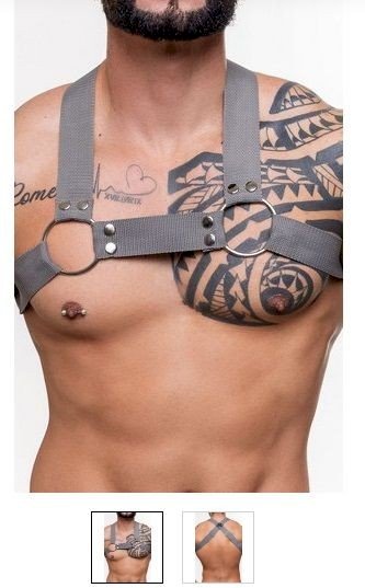 ºHARNESS Z NYLON CINZA HE019A