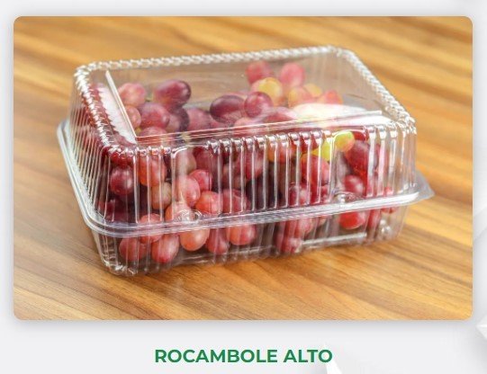 H - 20 Rocambole  Alto