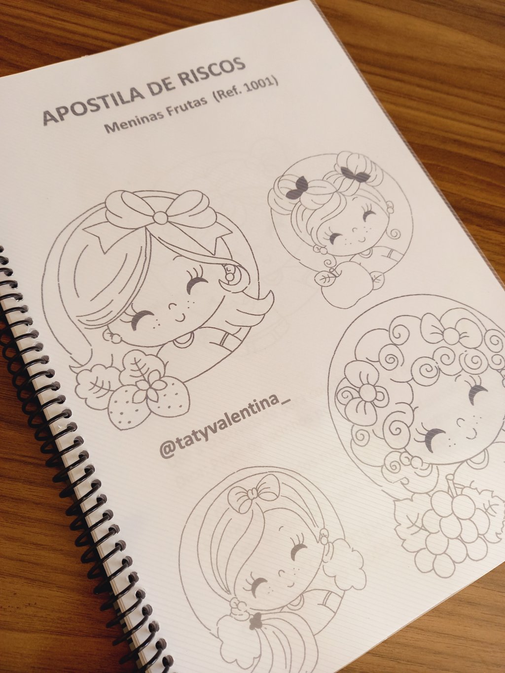 APOSTILA 1001
