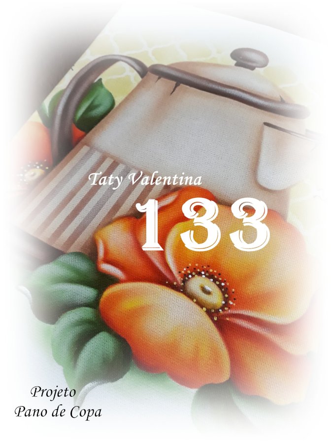 PROJETO 133
