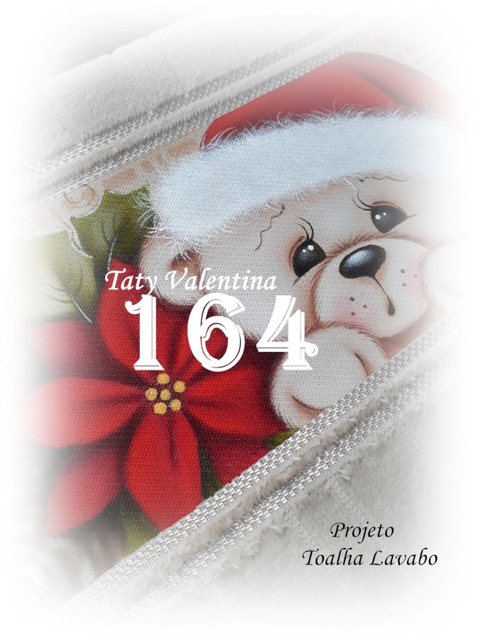 PROJETO 164