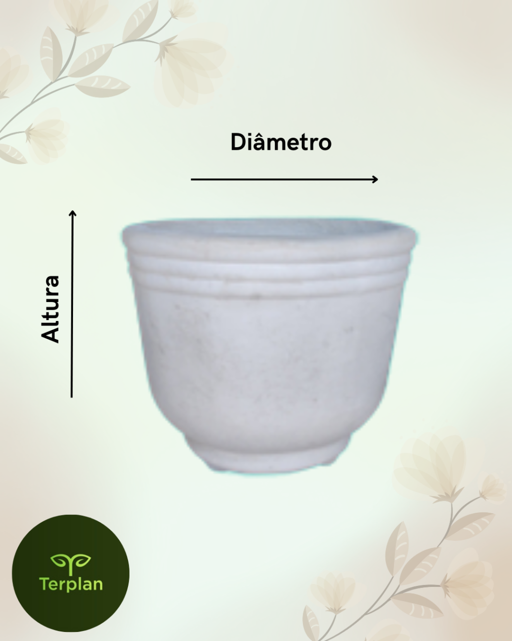 VASO ÉRICA