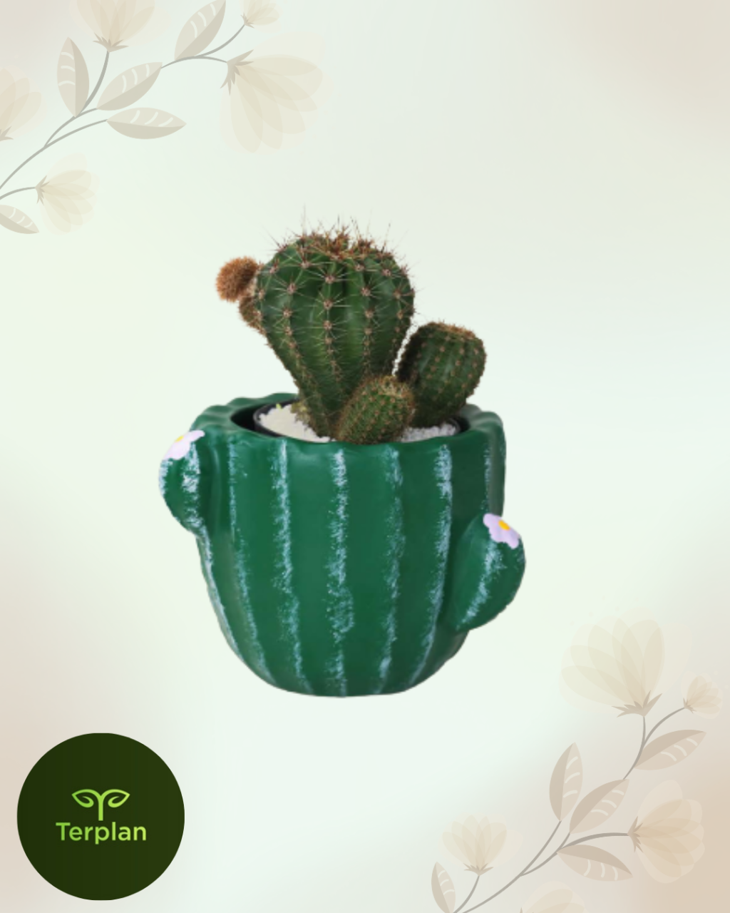 CACHEPOT CACTO G