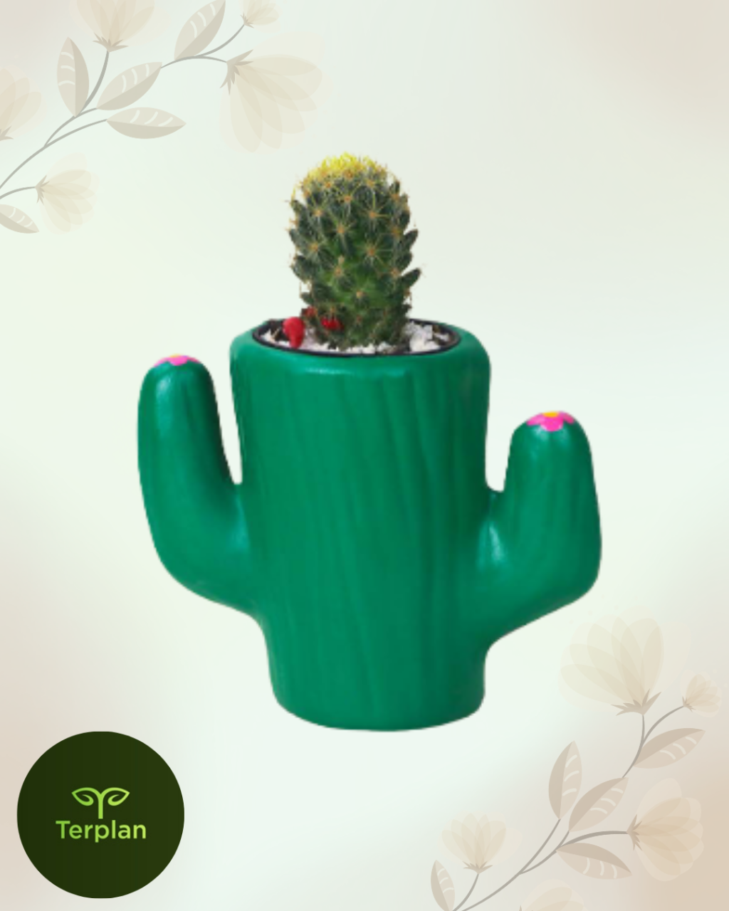 CACHEPOT CACTO DESERTO