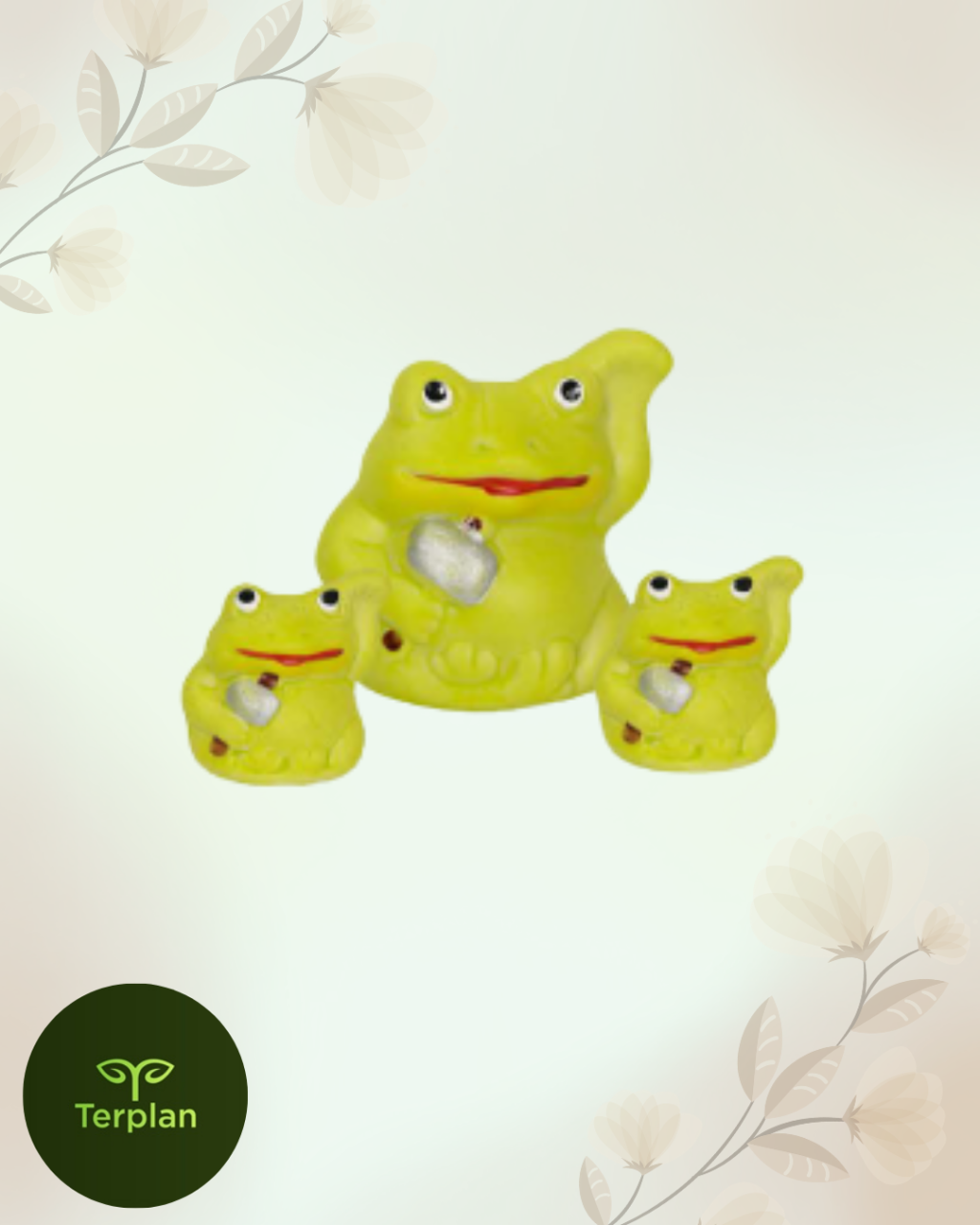 TERRARIO  TRIO SAPO MARTELO