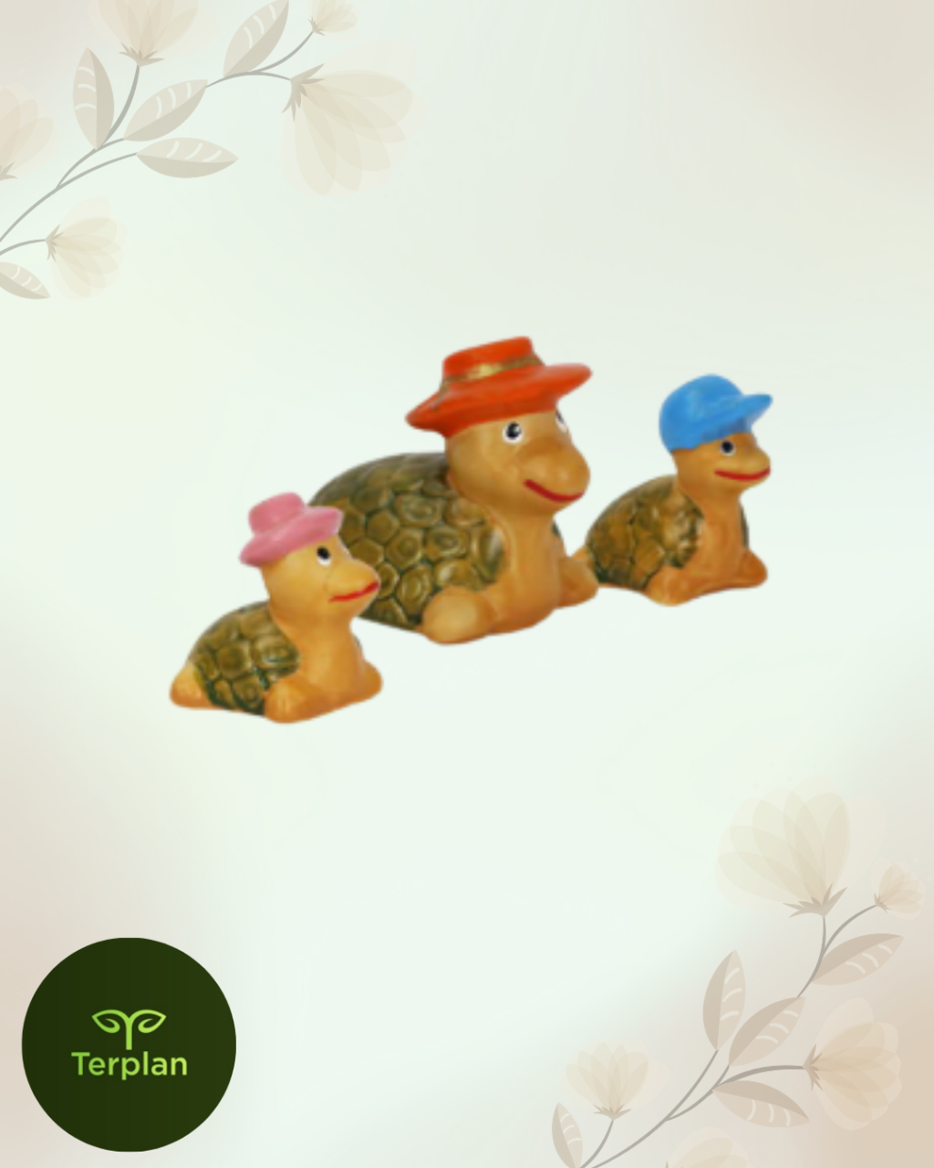 TERRARIO  TRIO TARTARUGA CHAPÉU