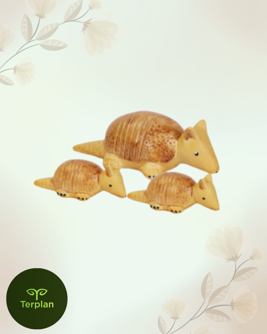 TERRARIO  TRIO TATU