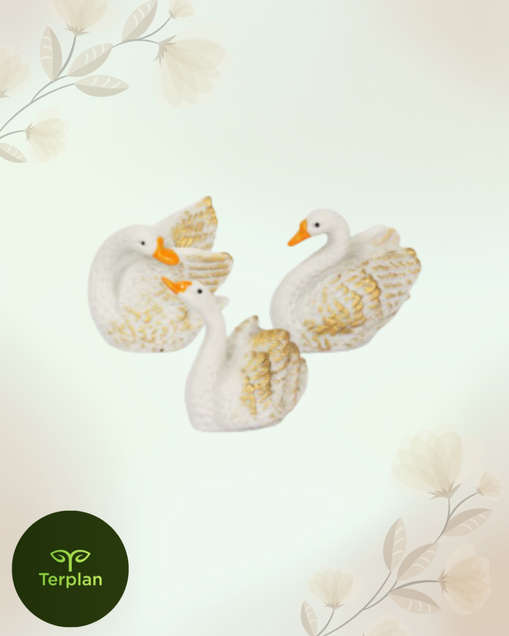 TERRARIO CISNE