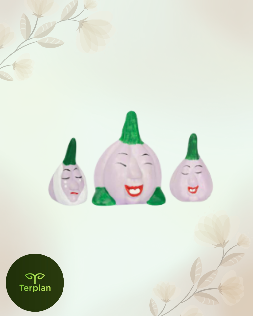 TERRARIO  TRIO ALHO