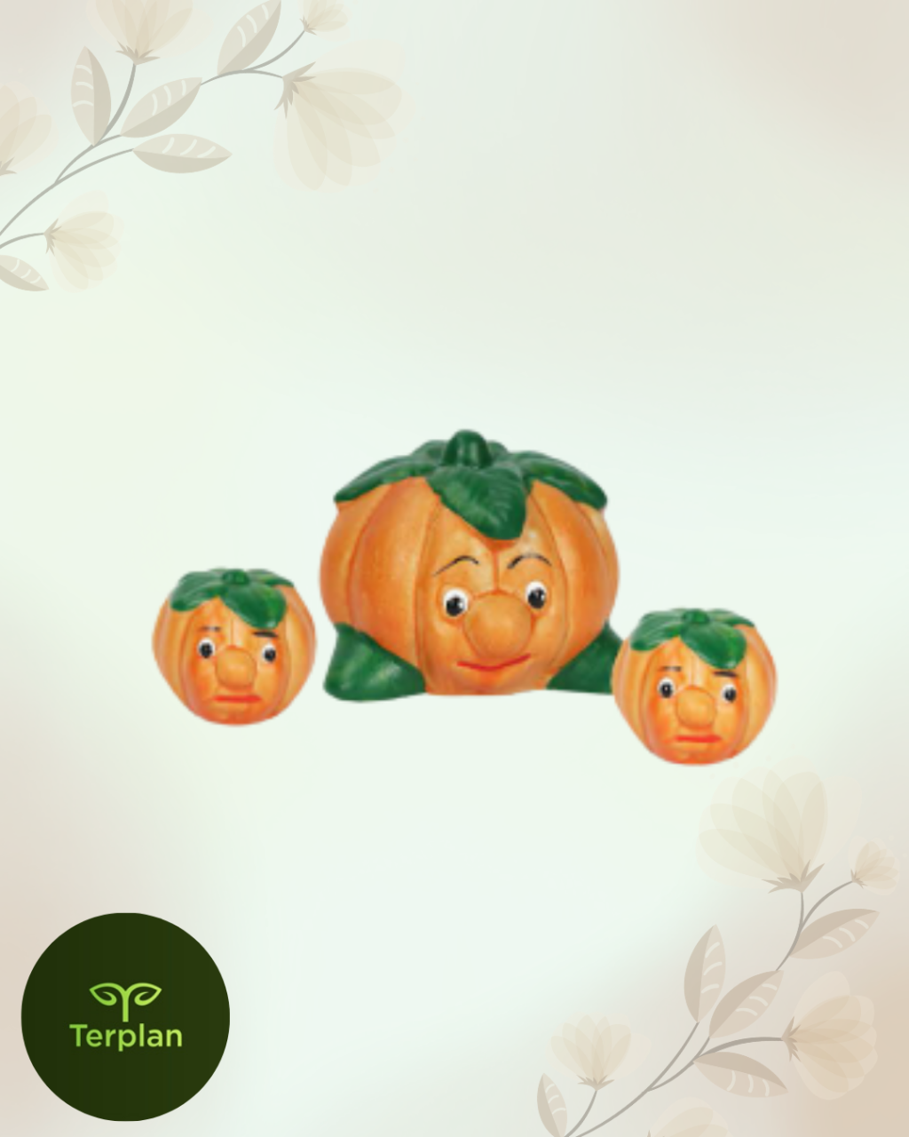 TERRARIO  TRIO ABOBORA