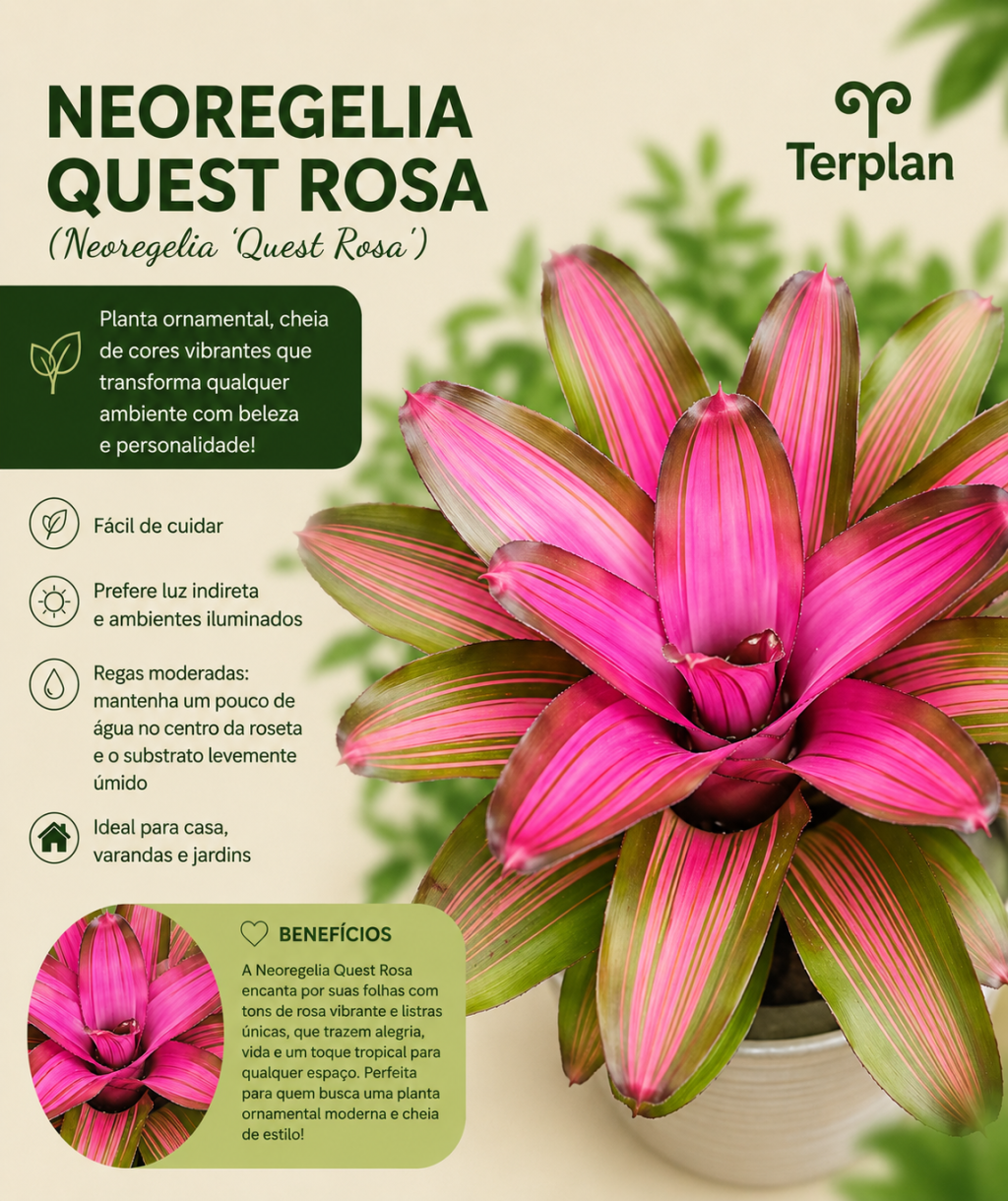 Neogelia Questão Rosa P15