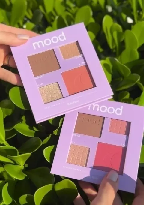PALETA MULTIFUNCIONAL MOOD 