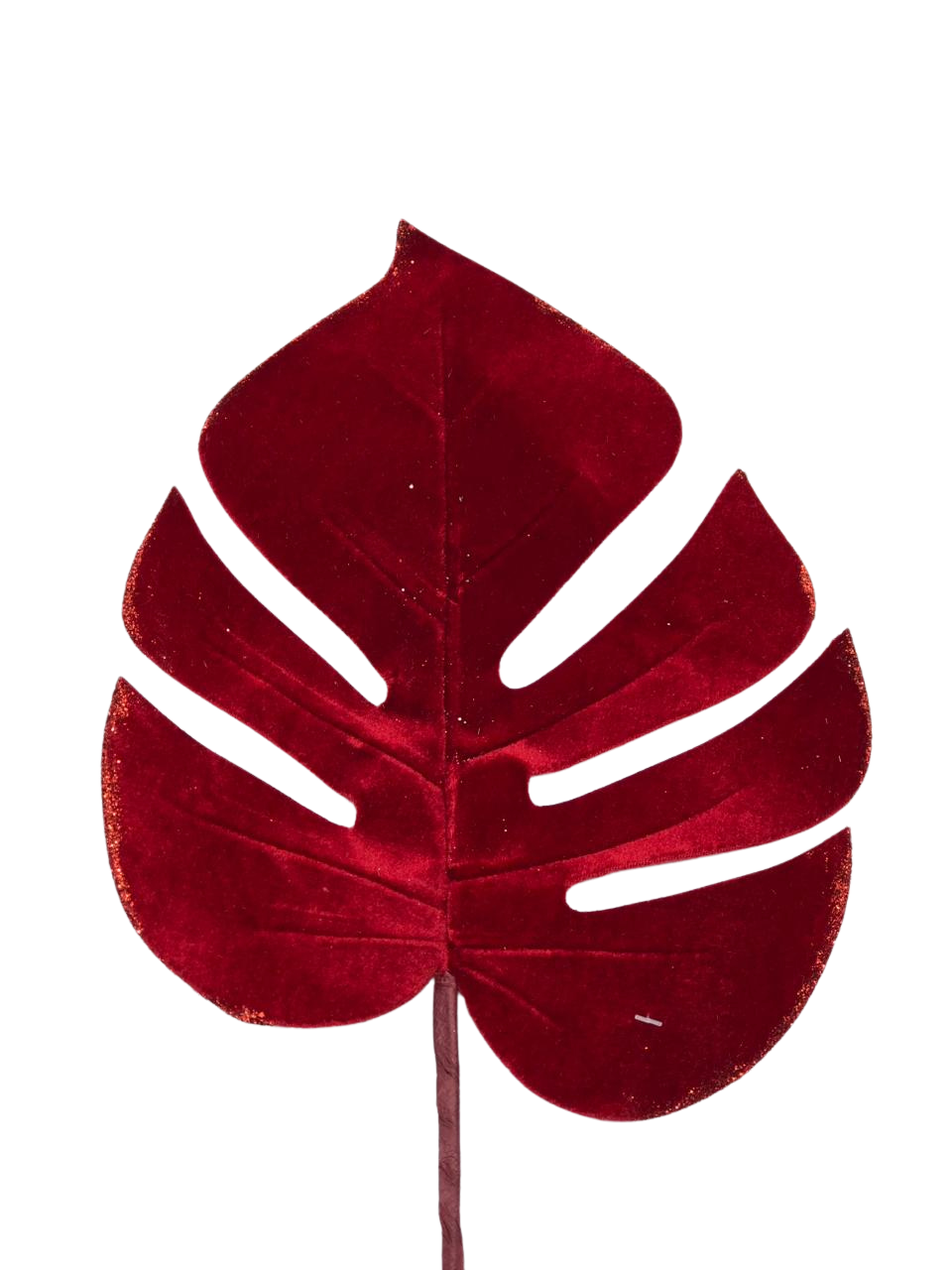 C.COSTELA DE ADAO AVELUDADO 40CM 7893979655653