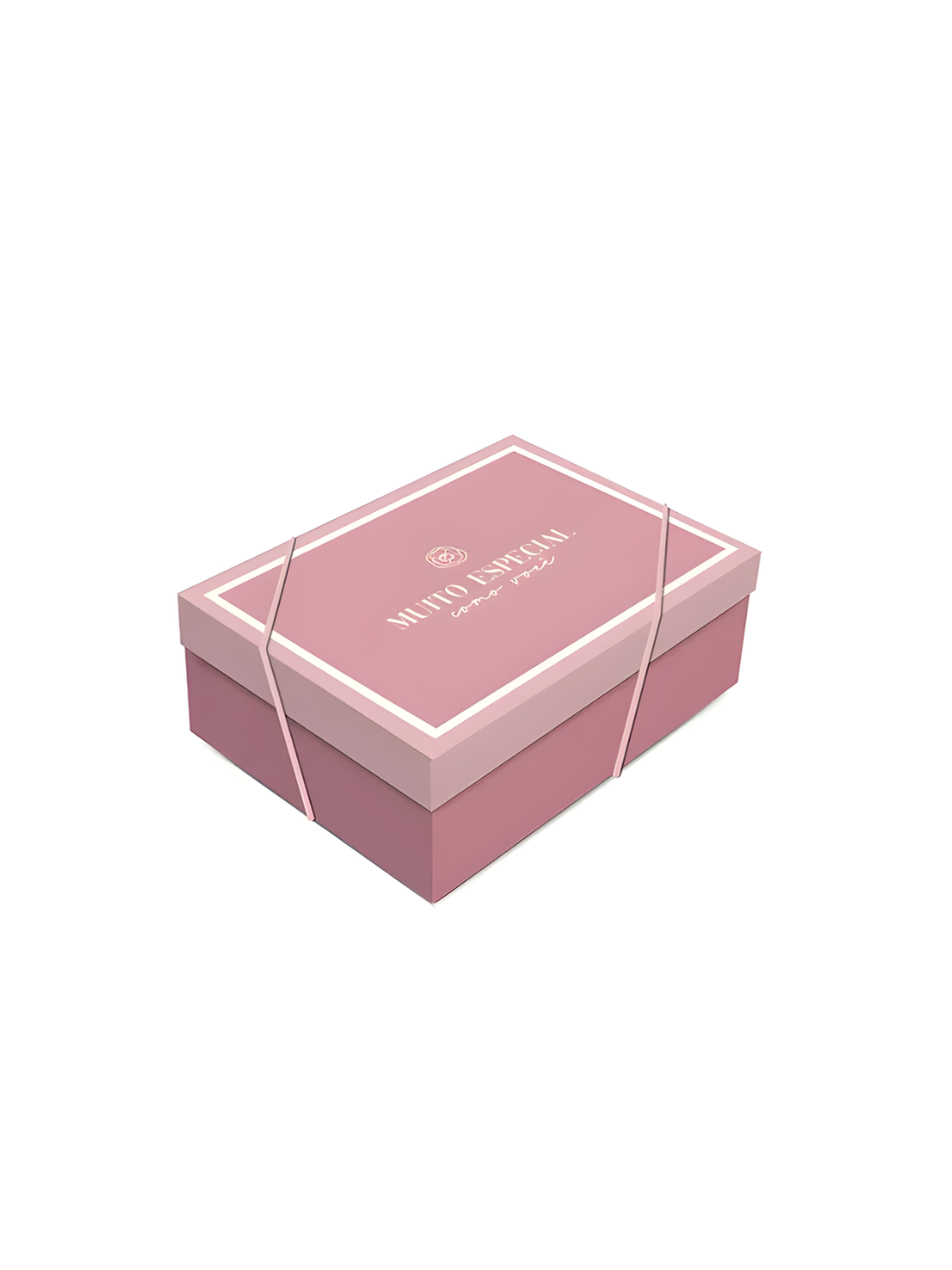 EMBALAGEM C/TAMPA CAMELIA P 24CM X 18CM X 8CM 7909107149625