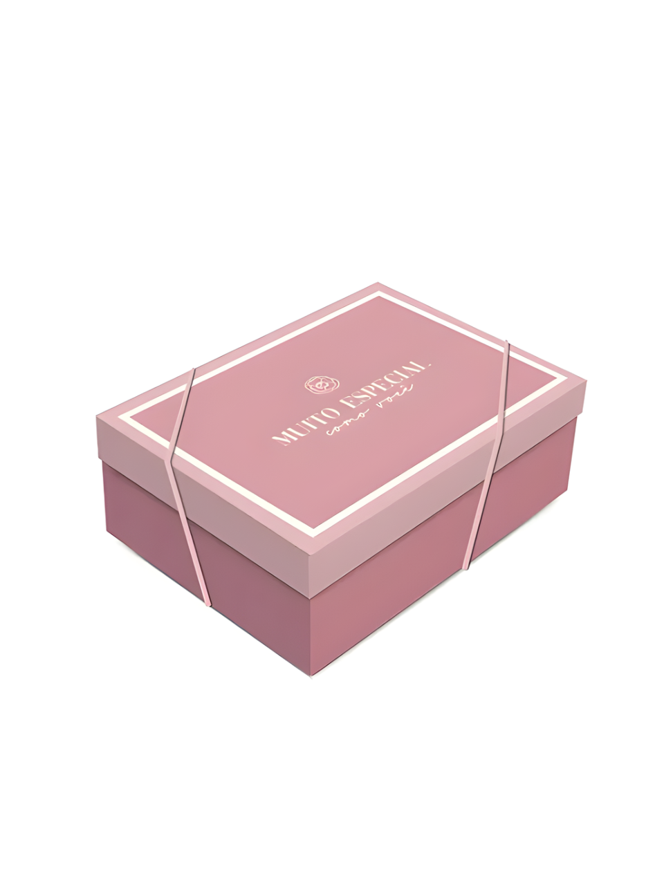 CAIXA C/TAMPA CAMELIA M 35CM X 25CM X 11CM 7909107149656