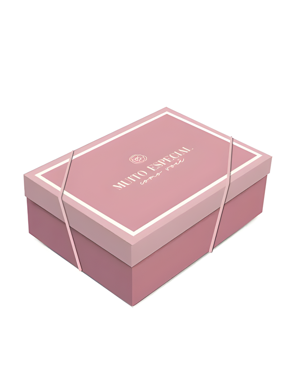 EMBALAGEM C/TAMPA CAMELIA G 46CM X 33CM X 14CM 7909107149663