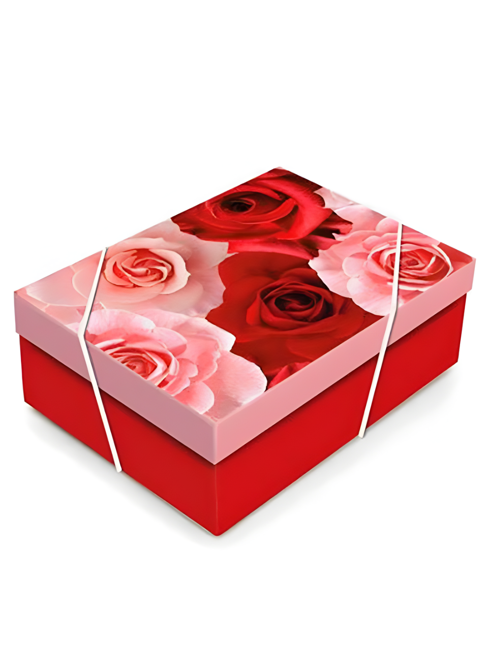 EMBALAGEM C/TAMPA BELLE G 46CM X 33CM X 14CM 7899613307070