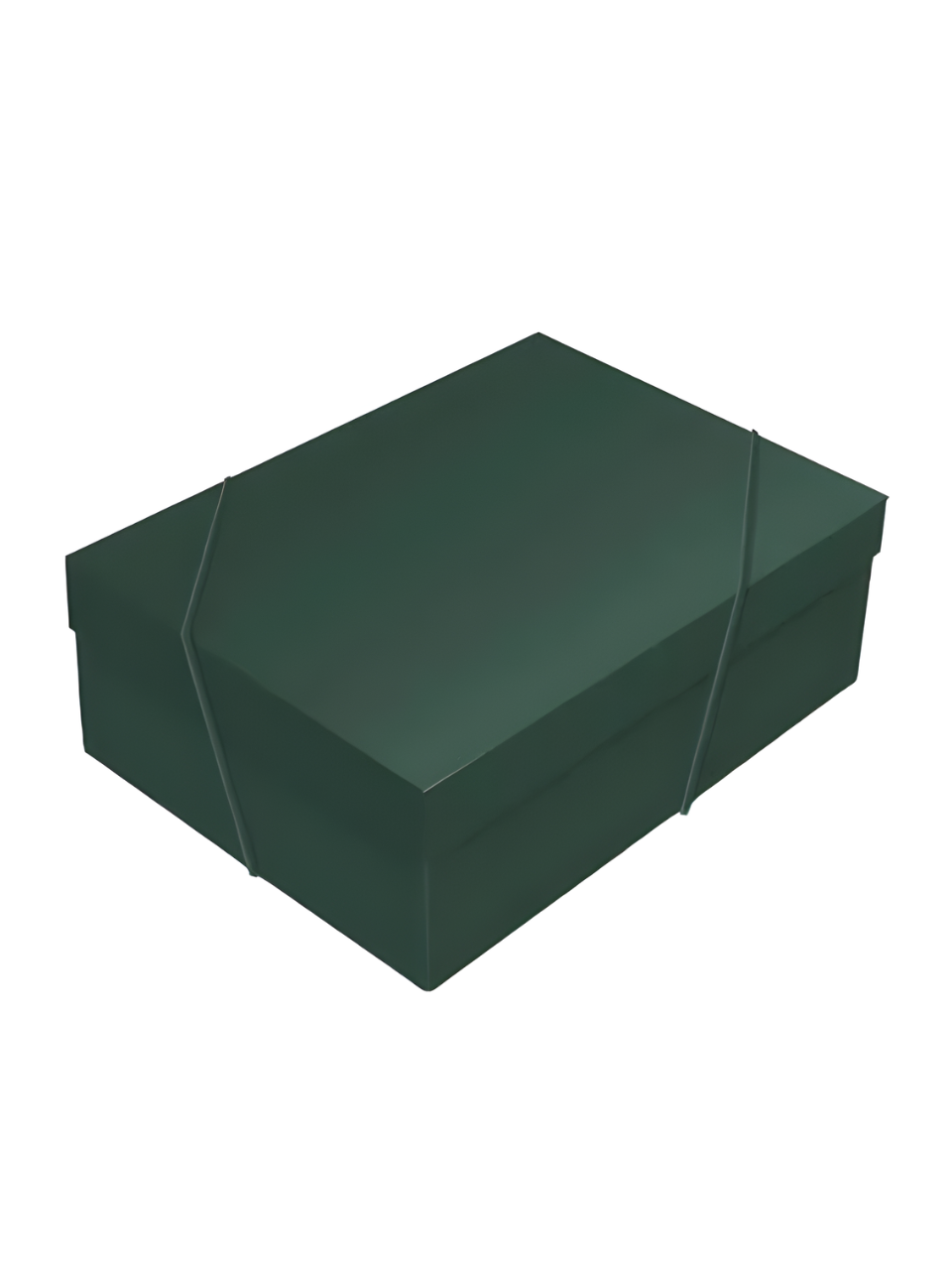 EMBALAGEM C/TAMPA VERDE PINHEIRO G 46CM X 33CM X 11CM 7909107247109